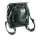 Кожаный рюкзак женский Alex Rai №360 green