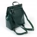Женский рюкзак с клапаном кожа  Alex Rai 373 green